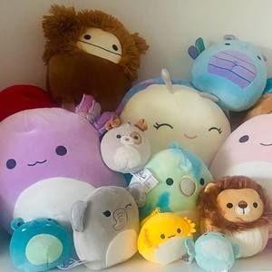 Meet your Posher, Jasmin